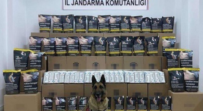 Jandarmadan kaçak tütün operasyonu: 1 gözaltı