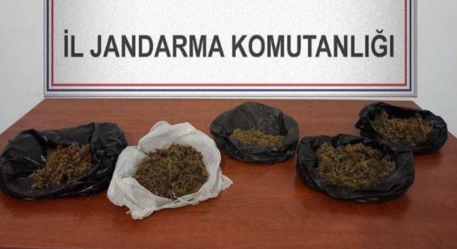 Jandarmadan uyuşturucu operasyonu