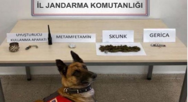 Jandarmadan uyuşturucuya geçit yok