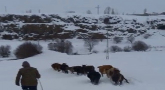 Kar Doğu yu mesken tuttu