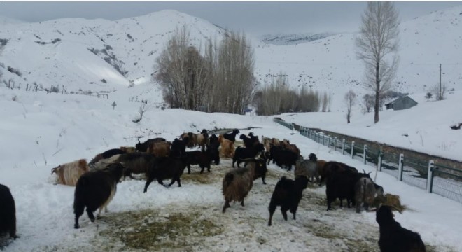 Karlıova da besicilerin kış mücadelesi