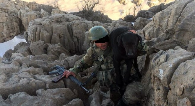 Komandolar mayın arama köpeklerini sırtlarında taşıyor