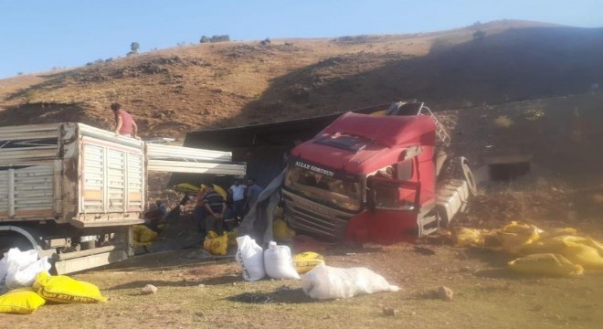 Kontrolden çıkan tır devrildi, yemler savruldu