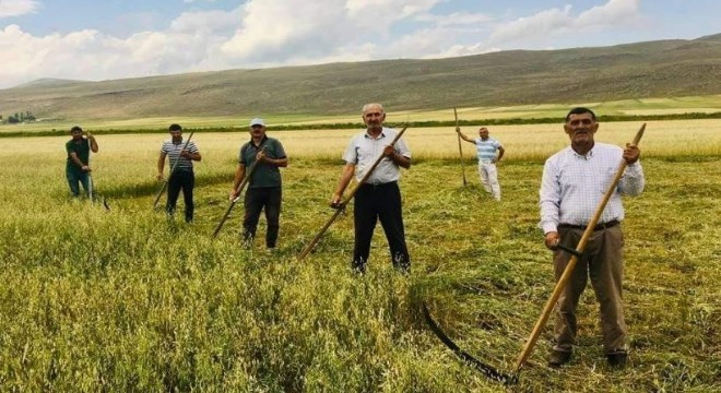 Kuraklık çiftçiyi eski aletlere yönlendirdi