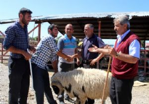 Kurban Bayramı heyecanı başladı