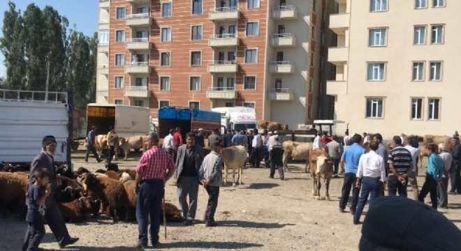 Kurbanlık pazarı şenlendi