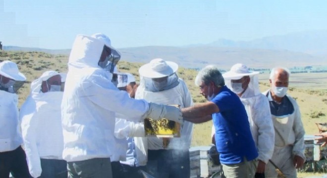 Memiş arıcılarla bal hasadı yaptı