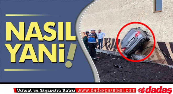 Nasıl Yani!