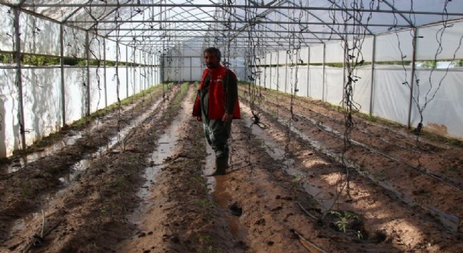 Oltu Çayı coştu seralara taştı