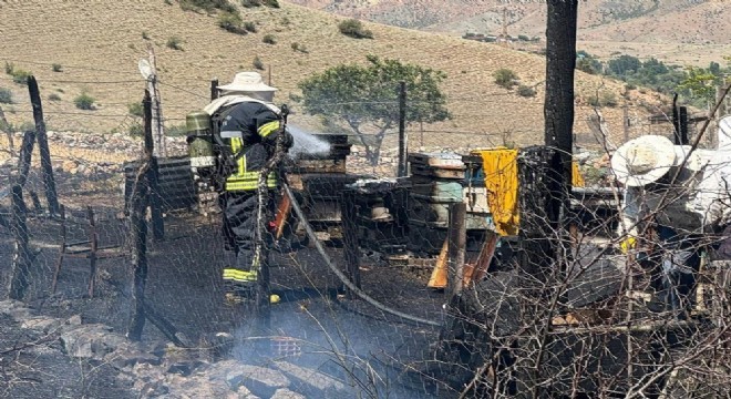 Oltu İriağaç ta anız yangını