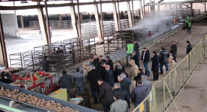 Oltu’da tuğla fabrikası açıldı