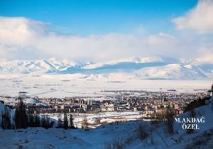 Erzurum Şirketleşme payı yüzde 14’e çıktı