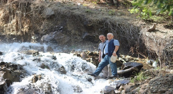 Sekmen e su teşekkürü