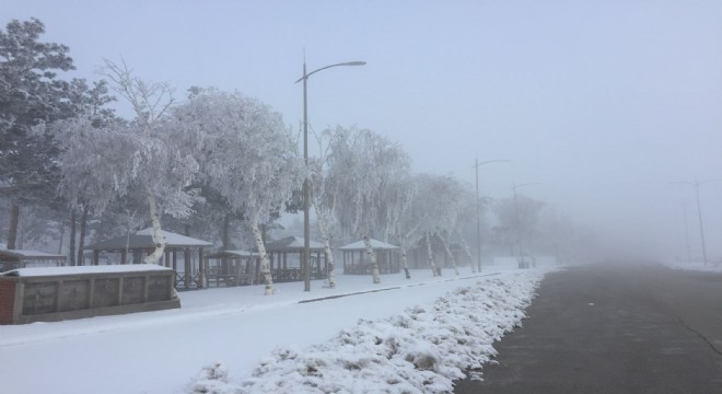 Sis hava trafiğini olumsuz etkiledi