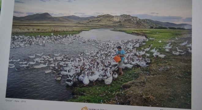 Tarım ve İnsan Fotoğraf sergisi ilgi buldu