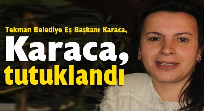 Tekman Belediye Eş Başkanı Karaca, tutuklandı