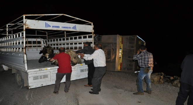 Tunceli yolunda trafik kazası: 5 yaralı