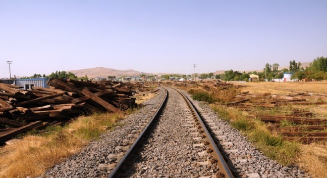 Yolcu treni 20 büyükbaş hayvanı telef etti