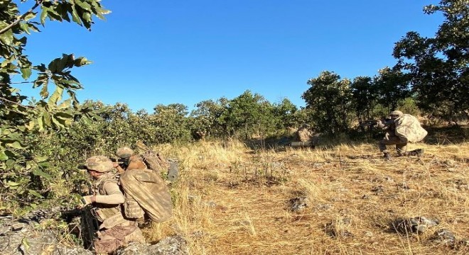 Yıldırım-7 Lice Narko-Terör Operasyonu başlatıldı