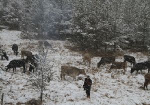 Doğu karla uyandı