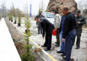 Orman İşletmesi’nden şehitlere saygı