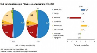 2025 yılı Gelir Dağılımı İstatistikleri açıklandı