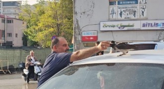 Kasap ile karga arasında sıra dışı dostluk