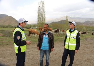 Trafik ekipleri çobanları uyardı