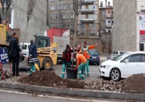 Yeşil Erzurum için ‘büyük’ atılım