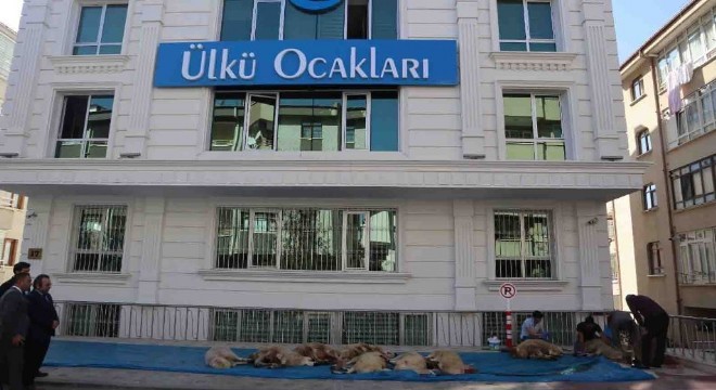 Ülkü Ocakları ndan Mehmetçiğe kurban