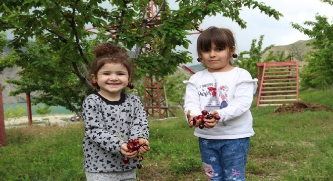 İftarlık Kirazlar Uzundere’den