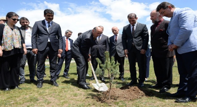 İlk fidanı Azizoğlu dikti